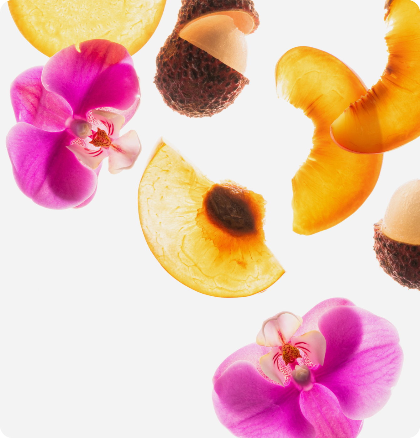 Touchland JUICY ESCAPE Body and Hand Mist Essentials,Travel Size Set